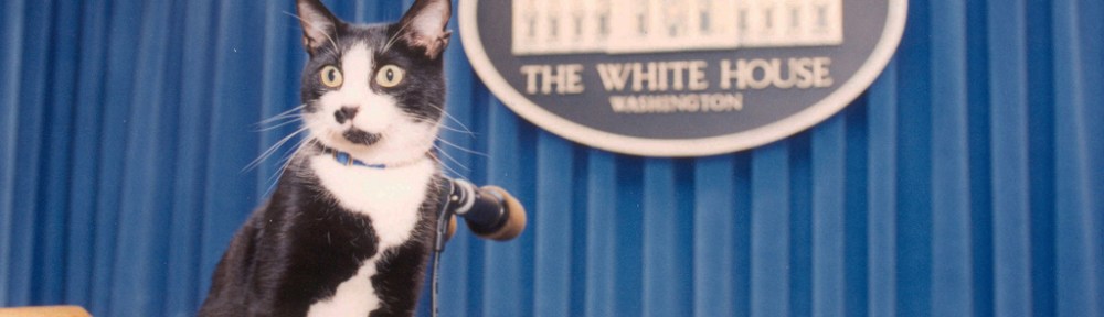 Socks, White House Cat