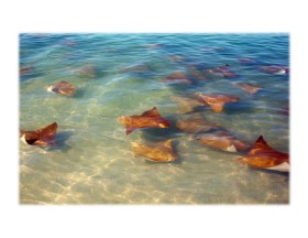 5984380533_2816ee14a5_b